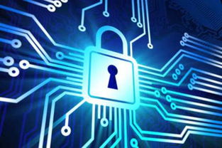 強(qiáng)化企業(yè)信息安全 聚焦網(wǎng)絡(luò)安全與網(wǎng)絡(luò)信息安全軟件開發(fā)